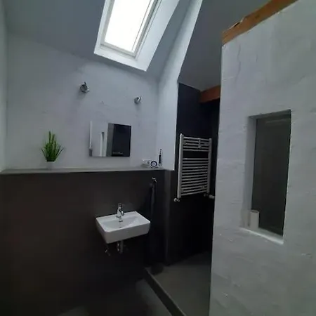 Apartmán Gruene Linie Mit Balkon-parken-wallbox-tv-koni *