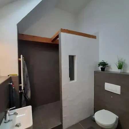 Gruene Linie Mit Balkon-parken-wallbox-tv-koni Flensburg