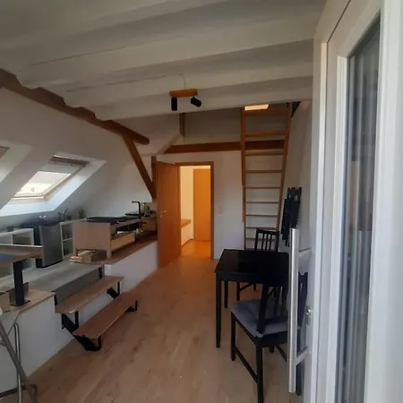 Gruene Linie Mit Balkon-parken-wallbox-tv-koni *